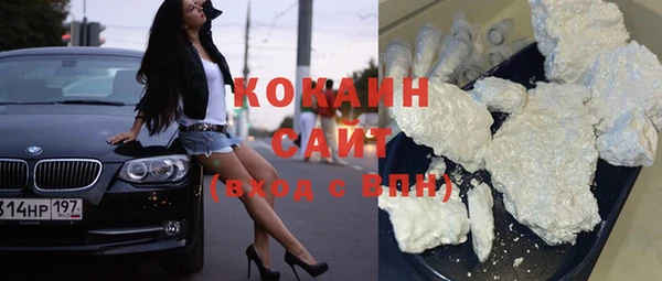 сатива Бронницы