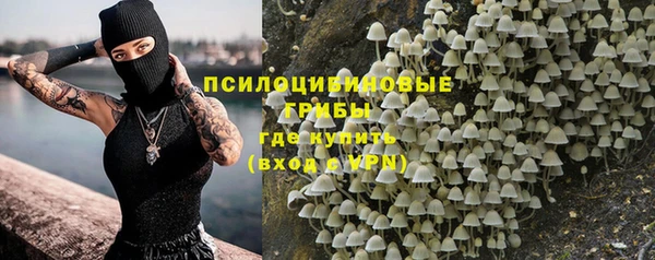 сатива Бронницы