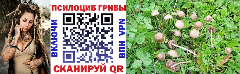 продажа наркотиков  блэк спрут ссылка  Псилоцибиновые грибы Magic Shrooms  площадка формула  Костомукша 