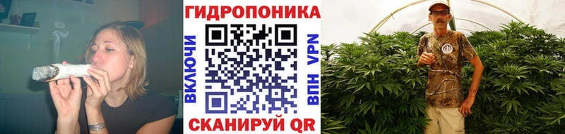 Шишки марихуана ГИДРОПОН  KRAKEN как зайти  Костомукша 